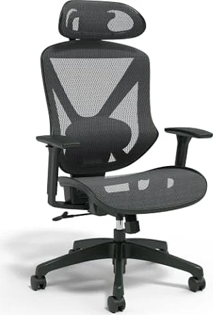 Staples Dexley Ergonomic Mesh Task Chair, Lumbar Support, Adjustable, Black